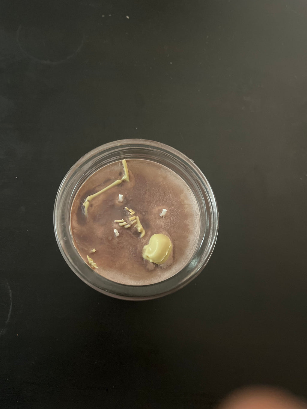 Clavicle Carl Candle